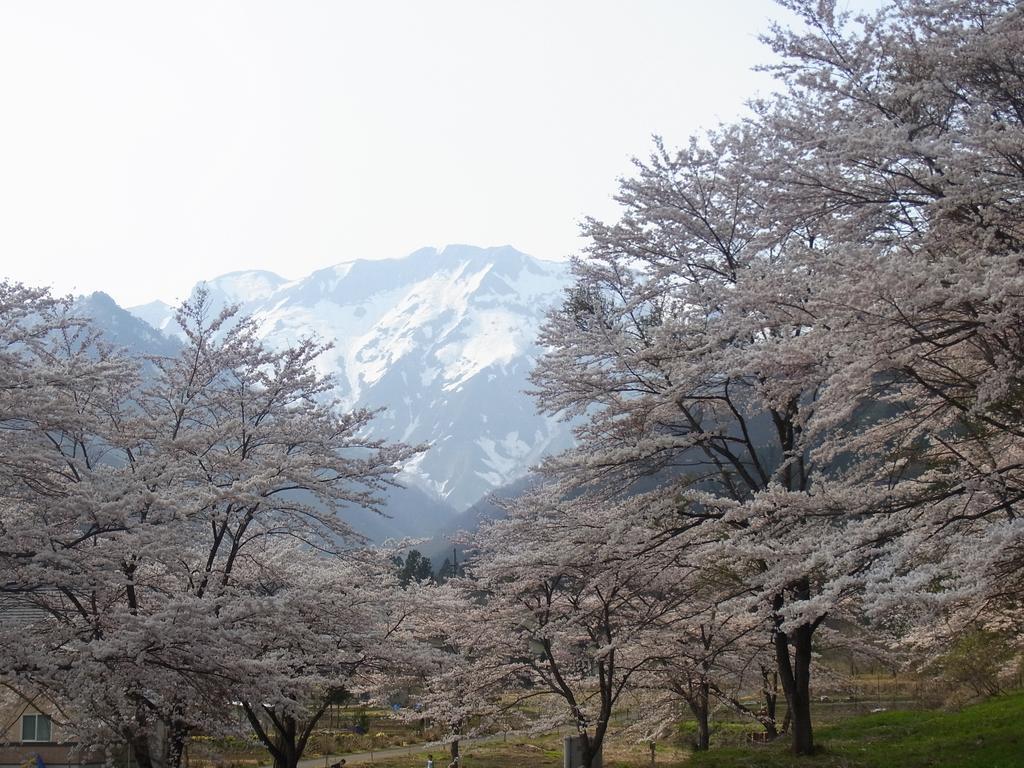 Ryokan Tanigawa Minakami Exterior foto